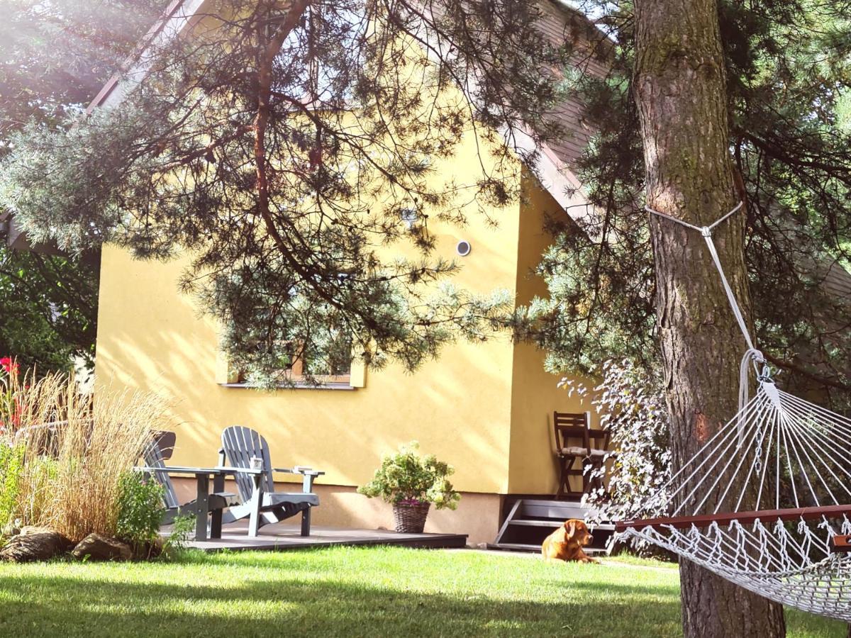 Ferienhaus Bei Riga Dreilini  エクステリア 写真