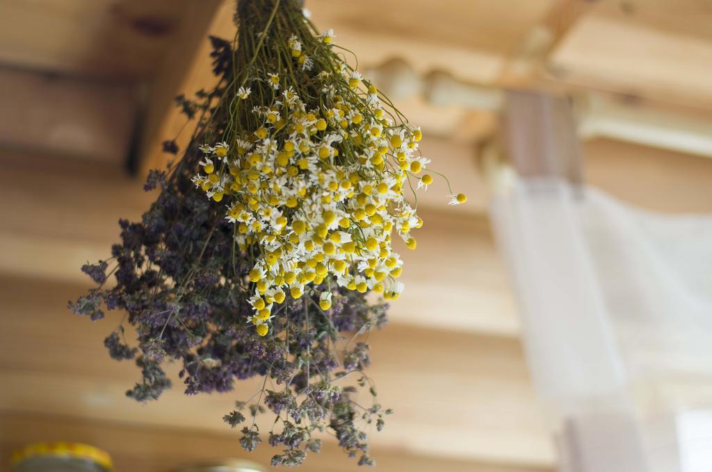 Ferienhaus Bei Riga Dreilini  エクステリア 写真